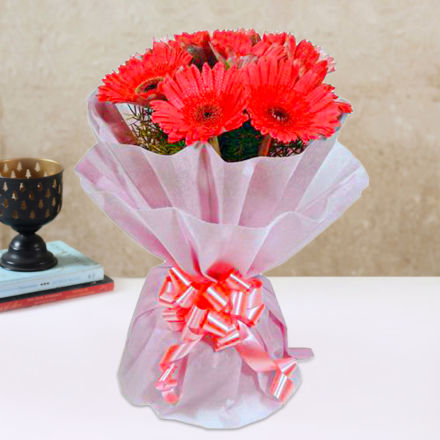 10 Gerberas Bunch