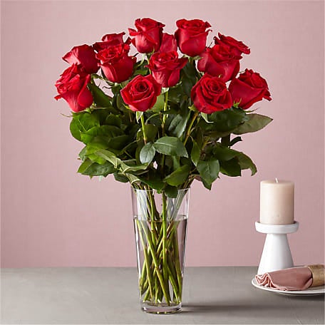 Valentine Roses in a Vase